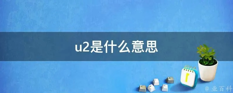 解密U2U2到底是什么意思？-第2张图片-www.211178.com_果博福布斯