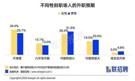 456体育介绍体育行业女性从业者的职场困境-第2张图片-www.211178.com_果博福布斯